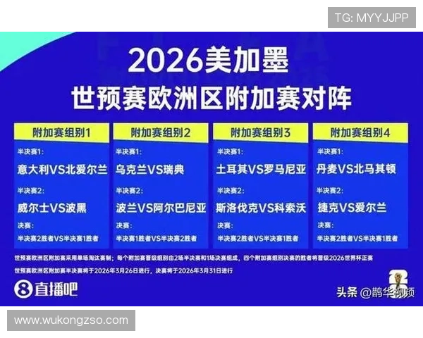 波黑冲击2026世界杯赛程前瞻：能否突围欧洲区预选赛
